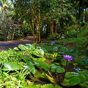 Villa Hanthana Boutique By Amaya, Kandy